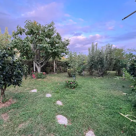 Luxury - Dar Al Shams 01 * 티라나