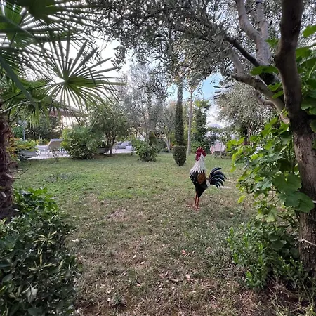 빌라 Luxury - Dar Al Shams 01 티라나