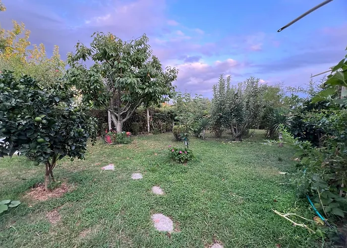 Luxury - Dar Al Shams 01 * Tirana