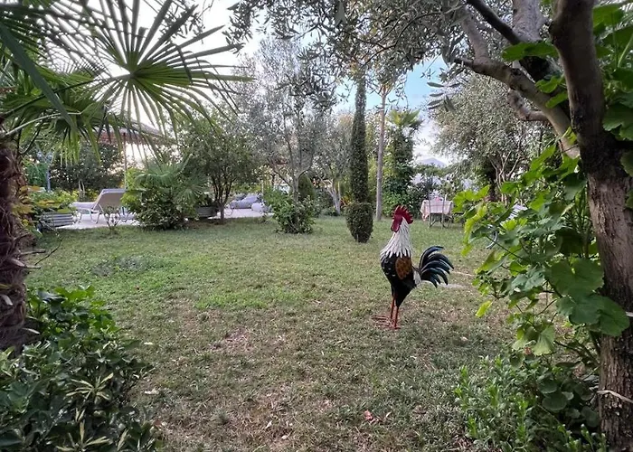 Villa Luxury - Dar Al Shams 01 Tirana