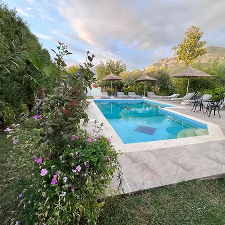 Luxury - Dar Al Shams 01 Вилла Тирана